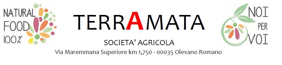 images/terramata.jpg#joomlaImage://local-images/terramata.jpg?width=917&height=213